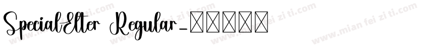 SpecialElter Regular字体转换